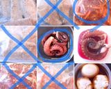 弥生24 作り置きで簡単ご飯作り方9写真