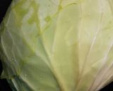 キャベツ丸ごと食べちゃおう作り方7写真