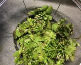 花が咲いたフキノトウの蕗味噌作り方1写真