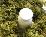 花が咲いたフキノトウの蕗味噌作り方2写真