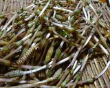 つくしの佃煮作り方1写真