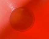 簡単蒸し豚！作り方5写真