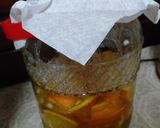 甘夏の発酵シロップ作り方19写真