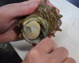 サザエの捌き方:よか魚作り方1写真