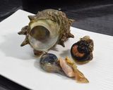 サザエの捌き方:よか魚作り方4写真