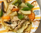 マヨ照り焼き炒め味豚こま大根青椒肉絲風作り方16写真