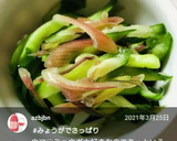 簡単♪きゅうりとミョウガの浅漬け作り方22写真