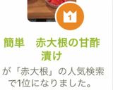 簡単　赤大根の甘酢漬け作り方12写真