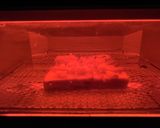 【春の息吹感じる】つくしトースト作り方11写真