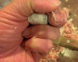 簡単!焼売 〜新玉葱にて〜作り方7写真