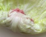ロールキャベツ作り方9写真