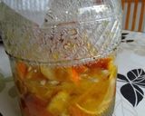 甘夏の発酵シロップ作り方23写真