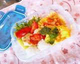 ワンちゃん用 (∪・ω・) お弁当作り方8写真