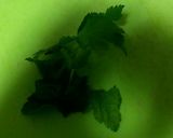 簡単！！　湯豆腐作り方2写真