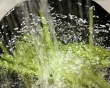 手を汚さずフキの筋むき作り方4写真