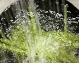 手を汚さずフキの筋むき作り方4写真