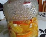 甘夏の発酵シロップ作り方25写真