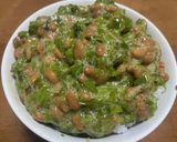 元魚屋が教える！めかぶの処理作り方11写真
