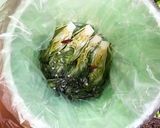 高菜の漬け方作り方8写真