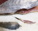 臭み軽減！ひと手間かける下ごしらえ下処理作り方5写真