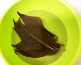ふんわり美味しい♪桜のパウンドケーキ作り方1写真