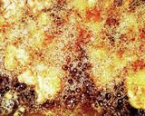 ジューシー鶏唐揚げ作り方7写真
