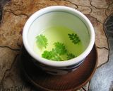 木の芽茶作り方4写真