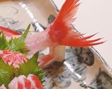 金目鯛のお造り【湯引き刺身】作り方9写真