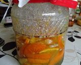 甘夏の発酵シロップ作り方27写真