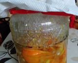 甘夏の発酵シロップ作り方28写真