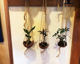 ココナッツ作り方13写真
