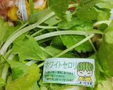 リカちゃん♡アジアン風ホワイトセロリꕤ*作り方1写真