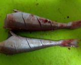 白魚と野菜の煮物作り方1写真