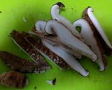 白魚と野菜の煮物作り方5写真