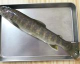 岩魚のつみれ汁作り方1写真