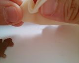 餃子の皮でアップルパイ!!作り方13写真