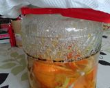 甘夏の発酵シロップ作り方29写真