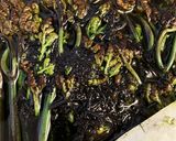 わらび醤油漬♪選び方から下処理も♪作り方8写真