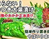 流行りの大葉おかか漬け◆作り置き人気副菜作り方6写真