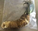 豆腐ダイエット＊山わさびマヨシーチキン作り方8写真