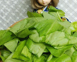 リカちゃん♡はっさく塩こしょう野菜炒め♪作り方1写真