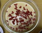 MrsWongちの薬膳中華茶碗蒸し作り方9写真