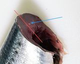 簡単☆手で捌かない鰯の捌き方(刺身まで)作り方8写真