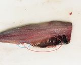 簡単☆手で捌かない鰯の捌き方(刺身まで)作り方11写真