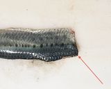 簡単☆手で捌かない鰯の捌き方(刺身まで)作り方13写真