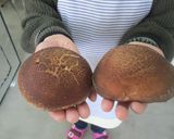 のと115と豚小間のバターソテー作り方1写真