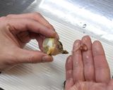 サザエの捌き方:よか魚作り方7写真