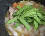 新玉ねぎと鶏もも肉の煮物作り方9写真