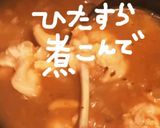 スープカレー作り方7写真