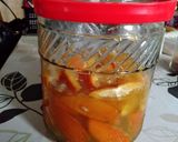 甘夏の発酵シロップ作り方35写真